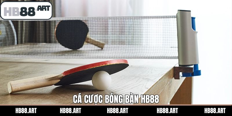 Cá Cược Bóng Bàn HB88 - Cách Chọn Kèo Thắng Lớn