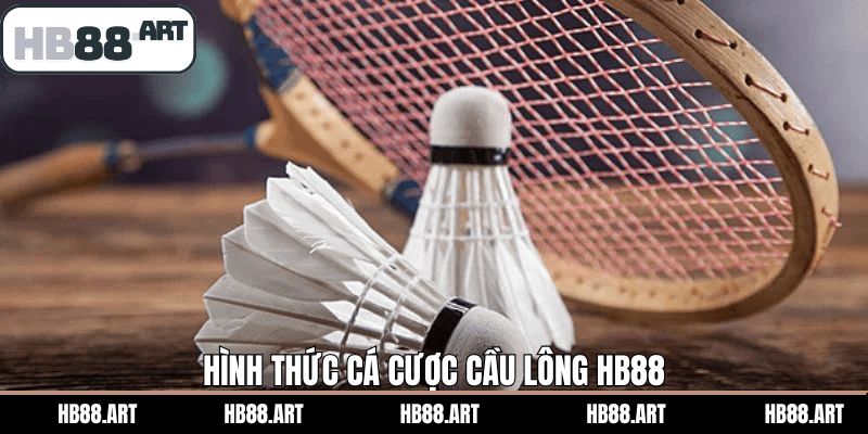 Điểm danh những kèo cá cược cầu lông HB88 nổi bật nhất