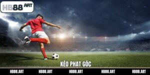 Kèo Phạt Góc - Bí Quyết Cá Cược Thành Công Cho Hội Viên HB88