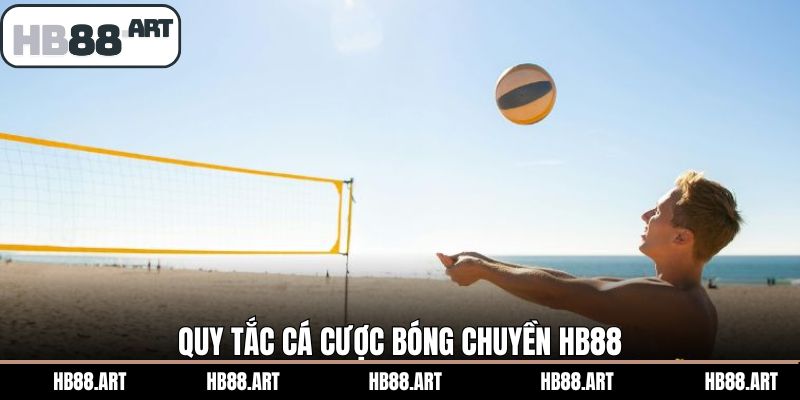Nắm rõ quy tắc khi tham gia cá cược bóng chuyền hiệu quả