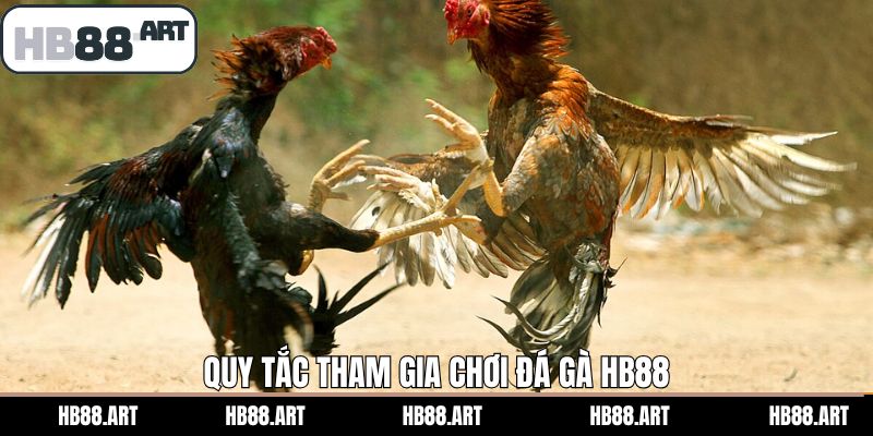 Những quy tắc quan trọng trong cá cược đá gà HB88