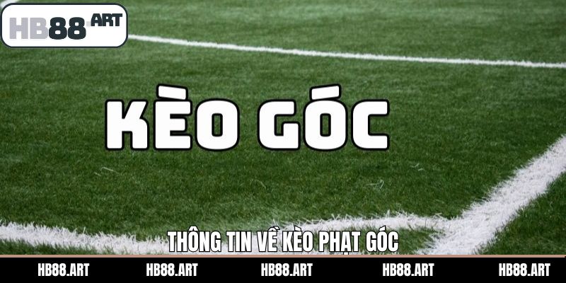 Điểm cơ bản trong kèo phạt góc