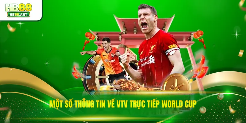 Một số thông tin về VTV trực tiếp World Cup