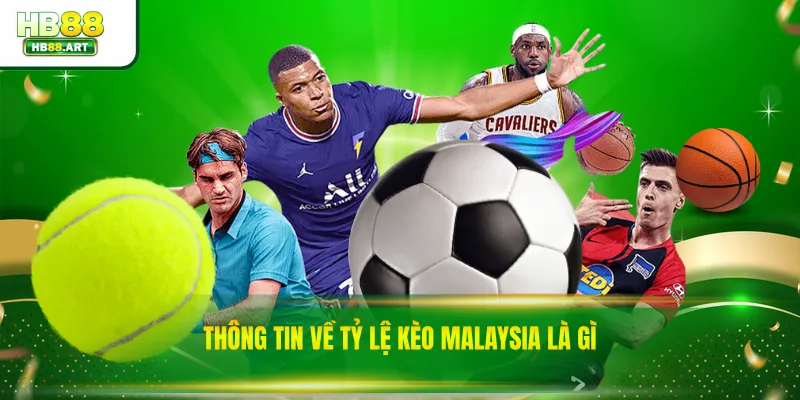 Thông tin về tỷ lệ kèo Malaysia là gì